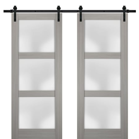 Sartodoors Double Barn Interior Door, 48" x 96", Gray LUCIA2552DB-SSS-4896